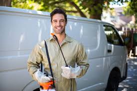 Outdoor Pest Control in Port Allegany, PA